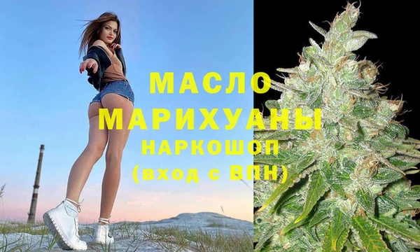 твердый Инта