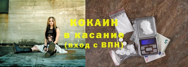 твердый Инта