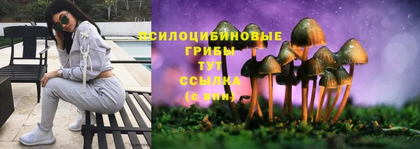 твердый Инта