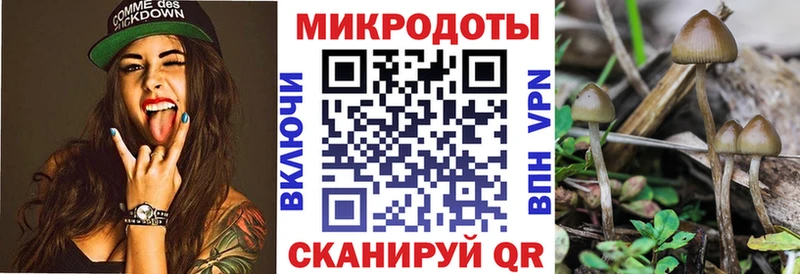 где можно купить   OMG ссылки  Псилоцибиновые грибы мухоморы  Лиски 