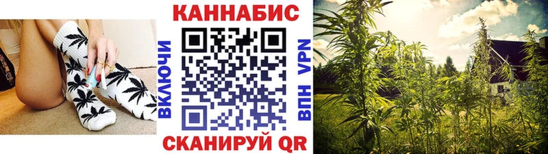 хочу Лиски Бошки марихуана OG Kush